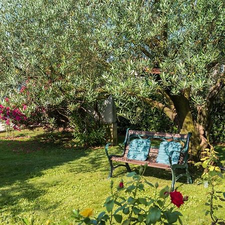 B&B Carmela Умаг Екстер'єр фото